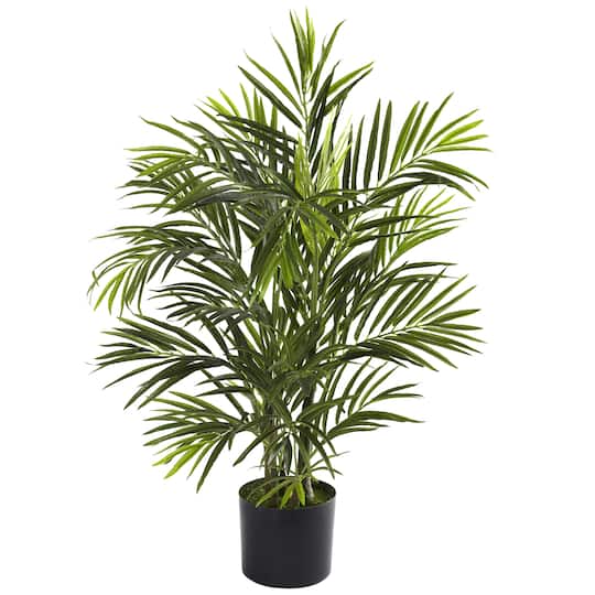 2.5ft. Potted Areca Palm
